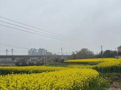 -王阳明故居