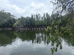 -东莞市可园博物馆