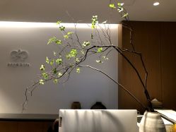 -安吉拉青春化管理中心
