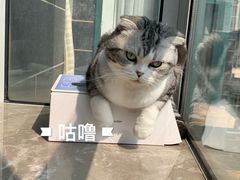 -联合动物医院(光谷诊疗中心)
