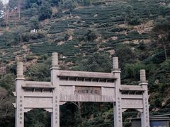 -午潮山国家森林公园