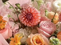 -Flower in(密渡桥店)