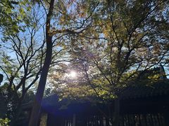 -沧浪亭