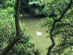 -黔灵山公园