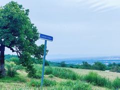 -紫云台香草园