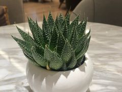 -星璞餐厅(深铁塘朗城君璞酒店)