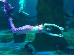 -北戴河圣蓝海洋公园