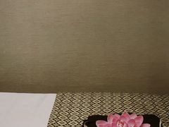 -OMSPA(盛景尚峰店)