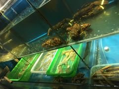 水产区-吉友粥底火锅(方斜路店)