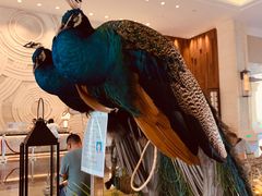 -西双版纳融创皇冠假日度假酒店