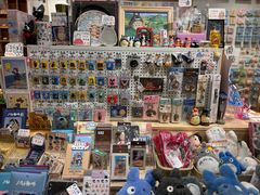 -猫的天空之城概念书店(束河店)