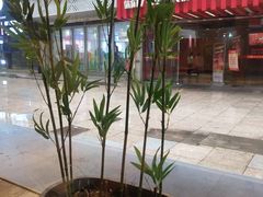 -卡旺卡(芜湖步行街一店)