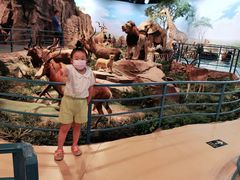 -陕西自然博物馆