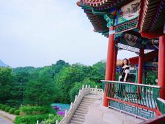 -北京十三陵国家森林公园蟒山景区