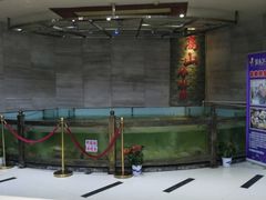 -楚鱼王·河鲜·湖北菜(华农店)
