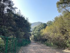 -惠山国家森林公园