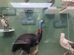 -国家自然博物馆