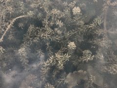 -华南国家植物园-售票处