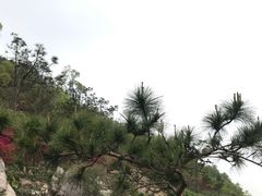 -板樟山森林公园