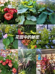 -今日陶艺(富力广场店)