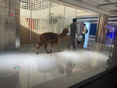 -顺香居·老字号湖北菜(江汉路店)