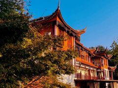 -铁山坪森林公园