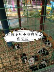 -萌宠亲子动物乐园(槐房万达店)