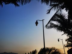 -深圳湾公园(南山区)
