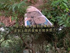 -广州市流溪河国家森林公园