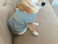 -怪兽屋·羊驼·猫咖·狗咖(俊华广场店)