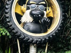 -西双版纳原始森林公园