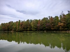 -上海海湾国家森林公园