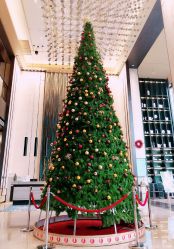-银保建国酒店·宴会厅