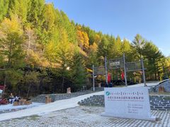 -苏木山森林公园