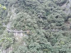 -龙湾潭国家森林公园