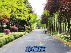 -上海大学(宝山校区)