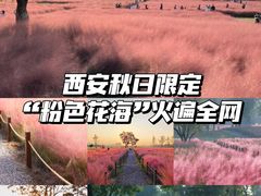 -汉长安城未央宫国家考古遗址公园