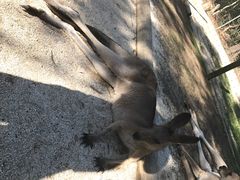 -可伦宾野生动物保护区