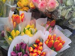 -循礼门鲜花花市(武汉循礼门店)