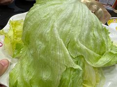 -芦月轩羊蝎子(北蜂窝店)