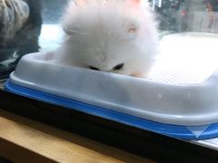 -宠物世家(仲盛世界商城店)