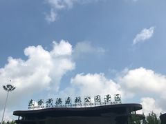 -黄海国家森林公园