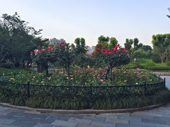 -堤角公园