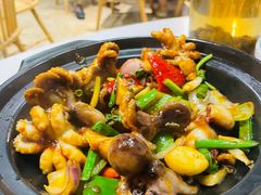 啫啫八爪鱼-友德福.老字号粤菜.广州地标融合美食(荔湾路店)