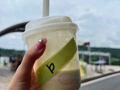-白茶原·一片叶子