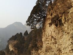 -北京上方山国家森林公园