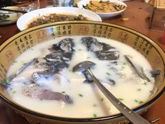 -全乐鱼馆·淳牌有机鱼直营店