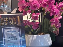 -味千拉面(惠州文昌一路分店)