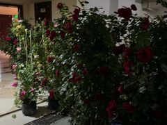 -歌迷量贩KTV(光彩市场店)