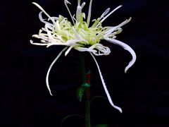 -共青国家森林公园-南大门停车场